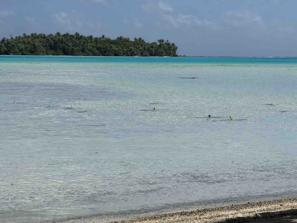 Rangiroa: la calma intacta del Pacífico